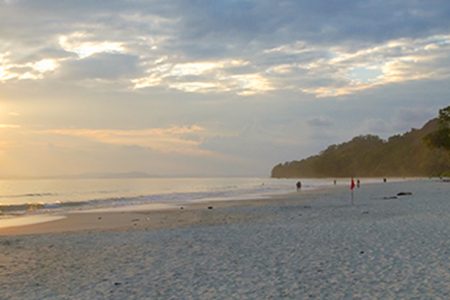 Best Andaman Tour Package