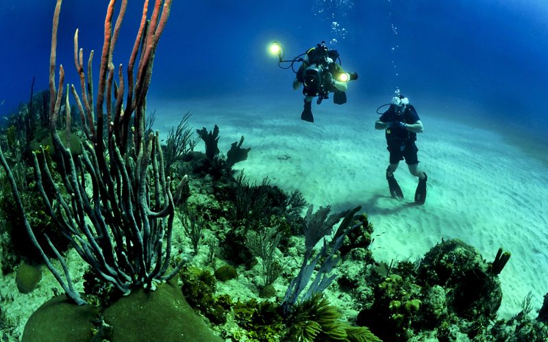 Scuba Diving at North Bay Island