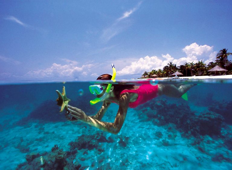 Snorkeling At Andaman Islands