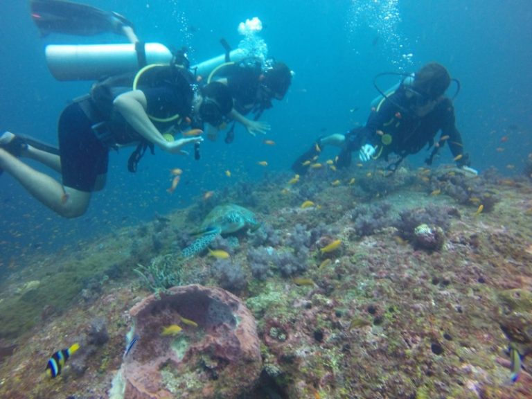 Try Dive Scuba Divingat Havelock