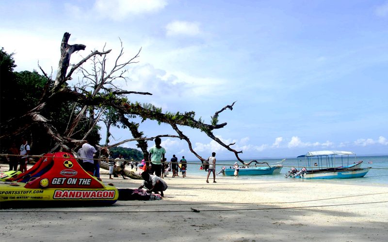 Elephant beach