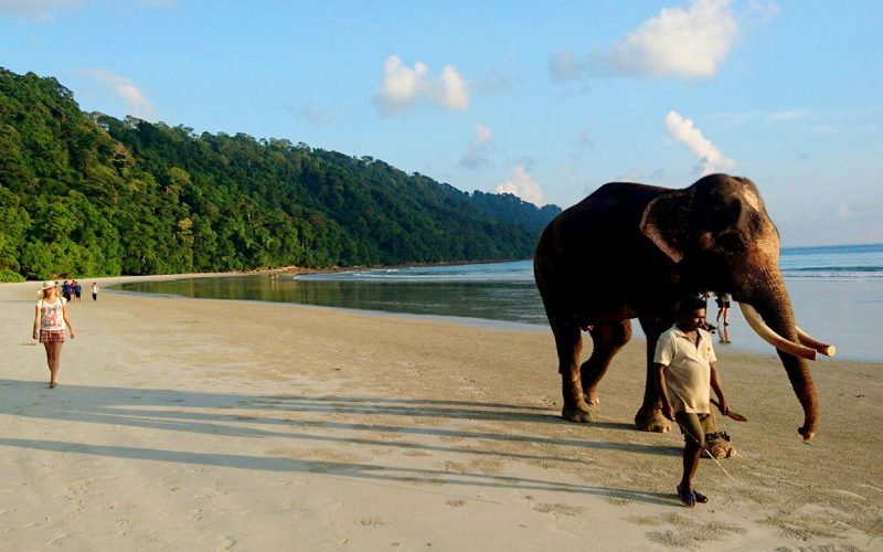 elephantha beach at havelock island2