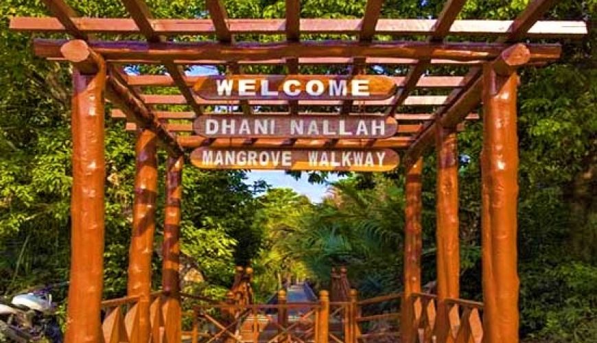 Dhani Nallah Mangroove Walkway