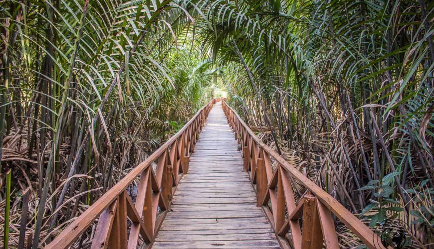 Dhani Nallah Mangrove Walkway