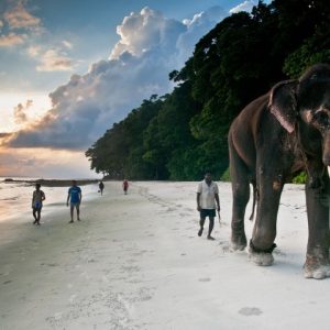 Radhanagar beach in havelock-1