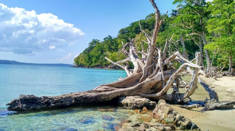 Chidiya Tapu Beach