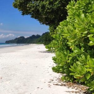 radhanagar-beach-havelock-island-andaman