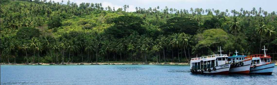 Viper Island