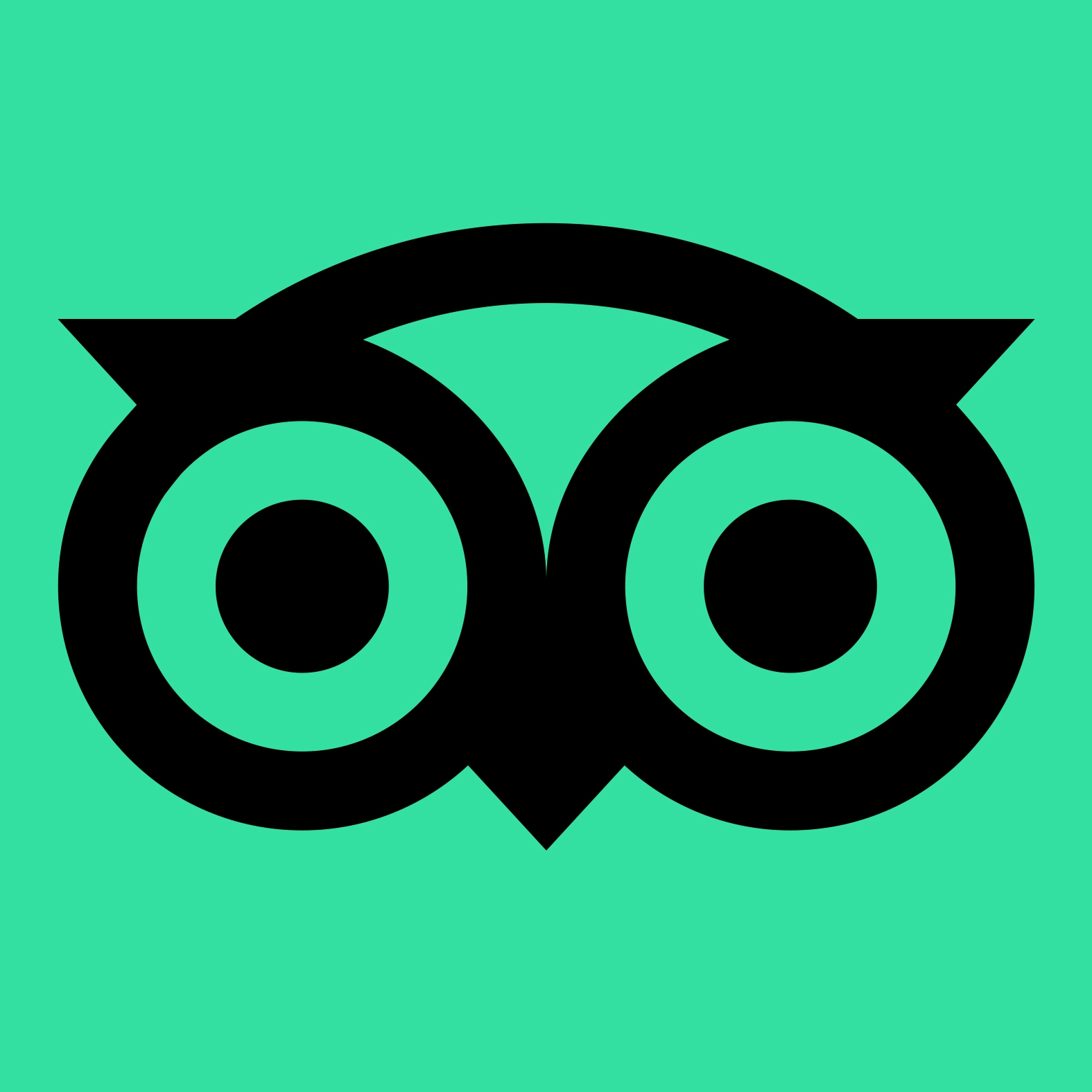 tripadvisor logo icon black green owl square