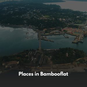 places in bambooflat