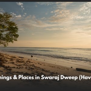 top things places in swaraj dweep havelock