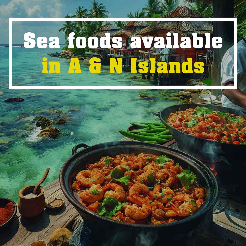 Sea foods available in A N Islands