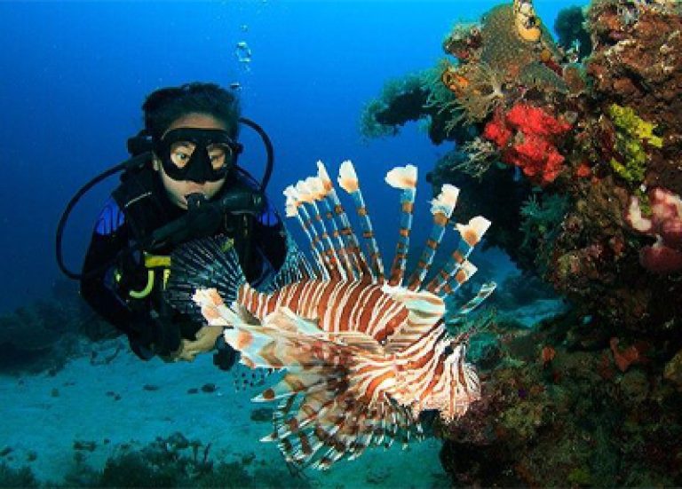 Scuba Diving at North Bay Island