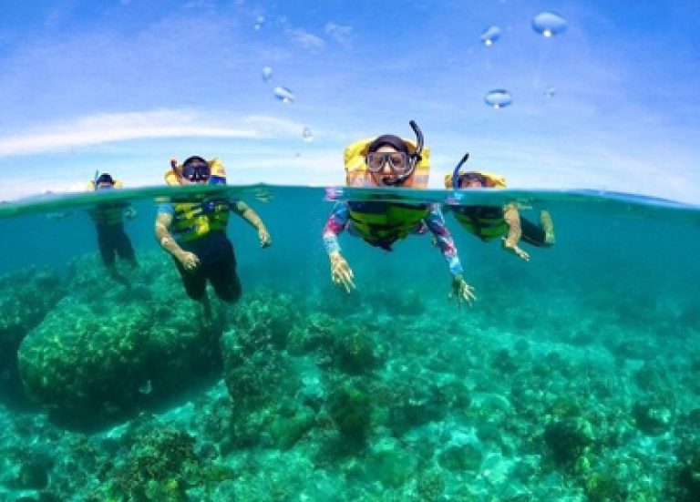 Snorkeling At Andaman Islands